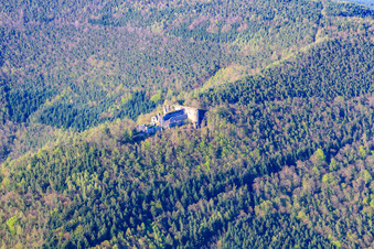 Burgruine Neuscharfeneck in Flemlingen im Bundesland Rheinland-Pfalz, Deutschland von der Drohne aus gesehen