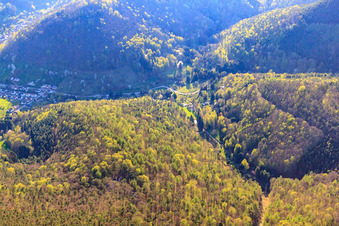 Walthartstr in Ramberg im Bundesland Rheinland-Pfalz, Deutschland