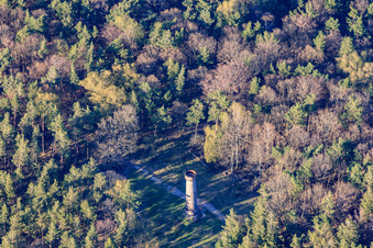 Schrägluftbild von Ludwigsturm in Rhodt unter Rietburg im Bundesland Rheinland-Pfalz, Deutschland