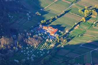 Wohlfühlhotel Alte Rebschule im Frühling in Rhodt unter Rietburg im Bundesland Rheinland-Pfalz, Deutschland