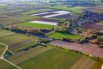 Schrägluftbild von Kleinfischlingen im Bundesland Rheinland-Pfalz, Deutschland