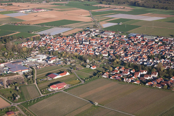 Ortsteil Niederhochstadt in Hochstadt im Bundesland Rheinland-Pfalz, Deutschland aus der Vogelperspektive