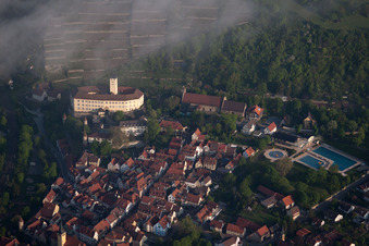 Schloss Horneck im Morgennebel in Gundelsheim im Ortsteil Michaelsberg im Bundesland Baden-Württemberg, Deutschland