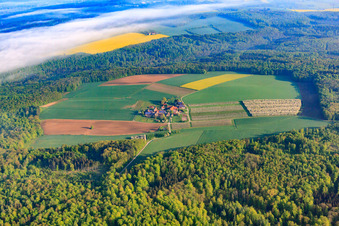 Gehöft eines Bauernhofes Dornbacher Hof - Scheuerle in einer Waldlichtung mit Feldern im Ortsteil Tiefenbach in Gundelsheim im Bundesland Baden-Württemberg, Deutschland