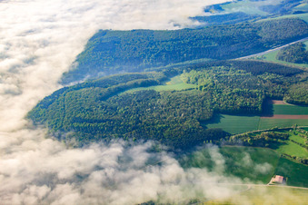 Nebel im Taubertal in Tauberbischofsheim im Bundesland Baden-Württemberg, Deutschland