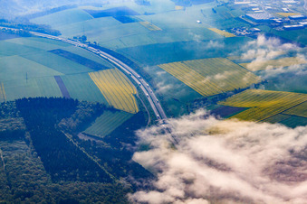 Nebel im Taubertal über der A81 am Lauswinel im Ortsteil Distelhausen in Tauberbischofsheim im Bundesland Baden-Württemberg, Deutschland