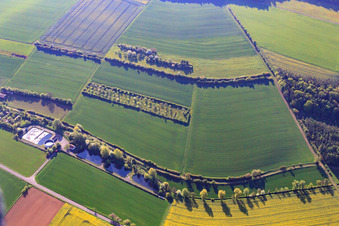 Fischweiher am Grundgraben in Kleinrinderfeld im Bundesland Bayern, Deutschland