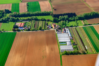 Luftbild von Gärtnerei mit Gewächshäusern am Otterbach in Vollmersweiler im Bundesland Rheinland-Pfalz, Deutschland