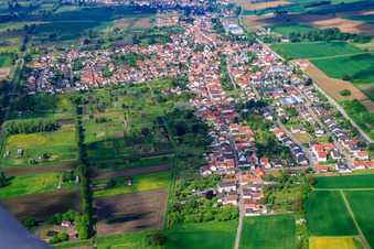 Luftbild von Dorf am Viehstrich aus Nordosten in Steinfeld im Bundesland Rheinland-Pfalz, Deutschland