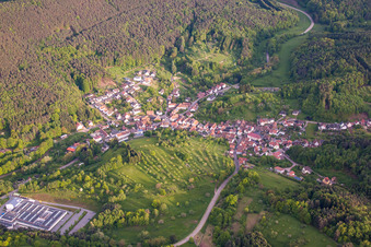 Ort im Pfälzerwald aus Norden in Schwanheim im Bundesland Rheinland-Pfalz, Deutschland