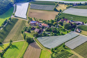 Gailhöfe im Ortsteil Altheim in Frickingen im Bundesland Baden-Württemberg, Deutschland