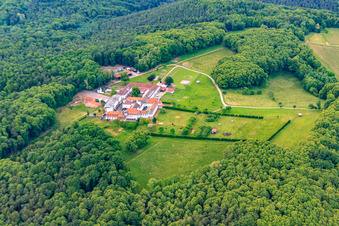 Pferdepension im Kloster Liebfrauenberg in Bad Bergzabern im Bundesland Rheinland-Pfalz, Deutschland von oben