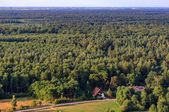 Haus am Waldrand im Ortsteil Bienwaldmühle in Scheibenhardt im Bundesland Rheinland-Pfalz, Deutschland von oben