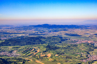 Blick über den Wald Kenzingen zum Kaiserstuhl von Nordosten im Bundesland Baden-Württemberg, Deutschland