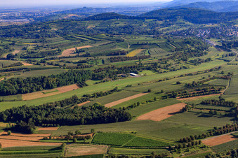 Luftbild von Segelflugplatz Altdorf-Wallburg in Ettenheim im Bundesland Baden-Württemberg, Deutschland