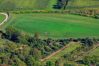 Altdorf-Wallburg Segelflug Rollhalt 25 in Ettenheim im Bundesland Baden-Württemberg, Deutschland