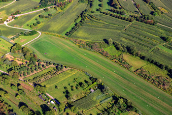 Segelflugplatz Altdorf-Wallburg in Ettenheim im Bundesland Baden-Württemberg, Deutschland von oben