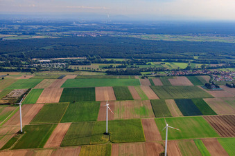 Windpark von Norden in Rülzheim im Bundesland Rheinland-Pfalz, Deutschland