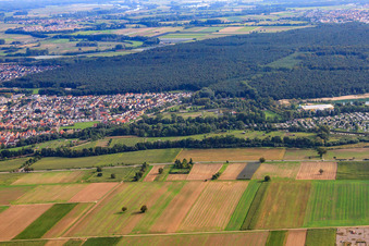 Straussenfarm Mhou am Freitzeitzentrum in Rülzheim im Bundesland Rheinland-Pfalz, Deutschland