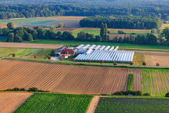 Sandhof mit Gärtnerei Rothenbücher in Herxheim bei Landau im Bundesland Rheinland-Pfalz, Deutschland