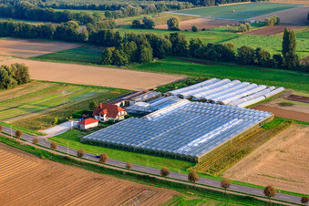 Luftaufnahme von Sandhof mit Gärtnerei Rothenbücher in Herxheim bei Landau im Bundesland Rheinland-Pfalz, Deutschland