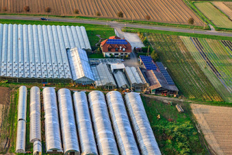 Schrägluftbild von Sandhof mit Gärtnerei Rothenbücher in Herxheim bei Landau im Bundesland Rheinland-Pfalz, Deutschland