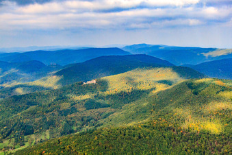 Luftaufnahme von Burgruine Neuscharfeneck von Süden in Flemlingen im Bundesland Rheinland-Pfalz, Deutschland