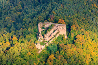 Burgruine Neuscharfeneck in Flemlingen im Bundesland Rheinland-Pfalz, Deutschland aus der Luft