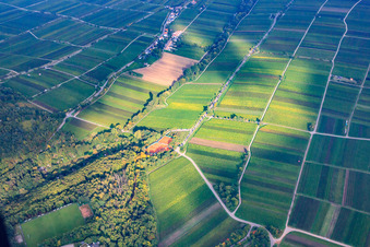 Tennisplatz des TC Grün-Weiß Edenkoben 1929 e.V im Bundesland Rheinland-Pfalz, Deutschland