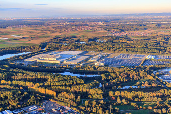 Mercedes-Benz Global Logistics Center auf der Insel Grün in Germersheim im Bundesland Rheinland-Pfalz, Deutschland von oben gesehen