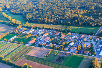 Gewerbegebiet Auf d. Weide mit Bora CNC und Verpackungstechnik und CK Booteservice im Ortsteil Niederlustadt in Lustadt im Bundesland Rheinland-Pfalz, Deutschland