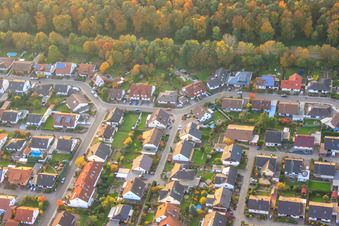 Südring x Pfarrer-Löser-Straße in Rülzheim im Bundesland Rheinland-Pfalz, Deutschland vom Flugzeug aus