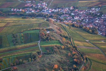Felder einer Weinbergs- Landschaft der Winzer- Gebiete im Ortsteil Ilbesheim mit der katholischen Kapelle "Kleine Kalmit" in Landau in der Pfalz in Ilbesheim bei Landau im Bundesland Rheinland-Pfalz, Deutschland