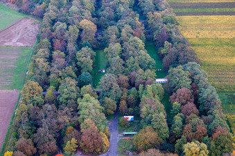 Palatina Bogenschützen in Insheim im Bundesland Rheinland-Pfalz, Deutschland
