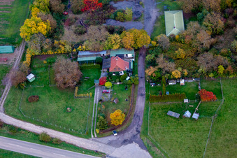 Schafweide am Wald in Insheim im Bundesland Rheinland-Pfalz, Deutschland