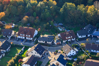Südring in Rülzheim im Bundesland Rheinland-Pfalz, Deutschland aus der Drohnenperspektive
