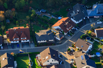 Südring in Rülzheim im Bundesland Rheinland-Pfalz, Deutschland aus der Luft betrachtet