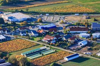 Gewerbegebiet Nordring mit Auto-Grün OHG in Rülzheim im Bundesland Rheinland-Pfalz, Deutschland