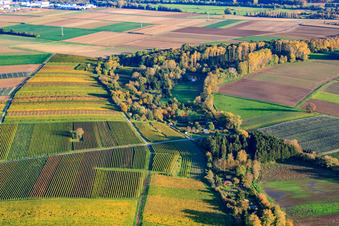 Quodbach in Insheim im Bundesland Rheinland-Pfalz, Deutschland