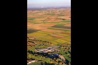 Schrägluftbild von Geothermiekraftwerk vor Windpark in Insheim im Bundesland Rheinland-Pfalz, Deutschland