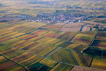 Ortsteil Mörzheim in Landau in der Pfalz im Bundesland Rheinland-Pfalz, Deutschland aus der Vogelperspektive