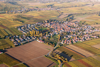 Schrägluftbild von Dorfansicht im Ortsteil Mörzheim in Landau in der Pfalz im Bundesland Rheinland-Pfalz, Deutschland