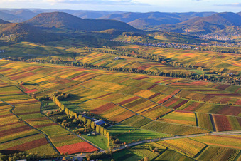 Luftbild von Aalmühl in Ilbesheim bei Landau im Bundesland Rheinland-Pfalz, Deutschland