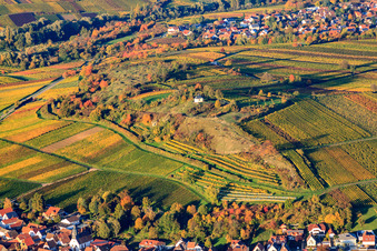 Naturschutzgebiet kleine Kalmit über dem Winzerdorf in Ilbesheim bei Landau im Bundesland Rheinland-Pfalz, Deutschland von oben