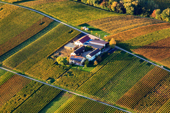 Weingut Erlenwein Wacholderstraße in Ilbesheim bei Landau im Bundesland Rheinland-Pfalz, Deutschland