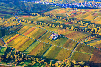 Luftaufnahme von Weingut Erlenwein Wacholderstraße in Ilbesheim bei Landau im Bundesland Rheinland-Pfalz, Deutschland