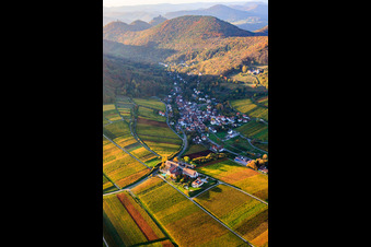 Hotel Leinsweiler Hof im Bundesland Rheinland-Pfalz, Deutschland aus der Luft