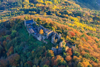 Burgruine Madenburg im herblist gefärbtem Wald in Eschbach im Bundesland Rheinland-Pfalz, Deutschland