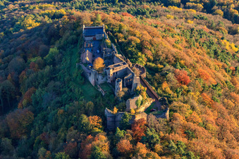 Luftaufnahme von Burgruine Madenburg im herblist gefärbtem Wald in Eschbach im Bundesland Rheinland-Pfalz, Deutschland
