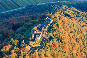 Schrägluftbild von Burgruine Madenburg im herblist gefärbtem Wald in Eschbach im Bundesland Rheinland-Pfalz, Deutschland